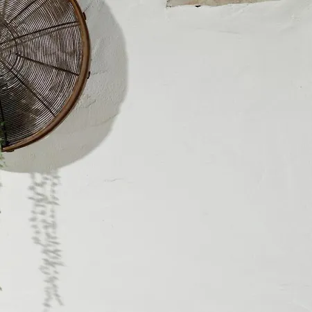 Quinta Dos Canteiros Villa Fátima