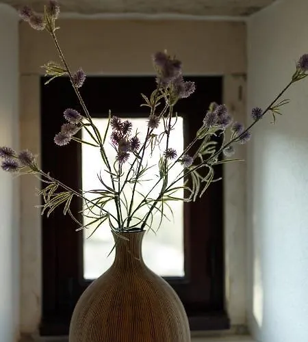 Quinta Dos Canteiros Villa