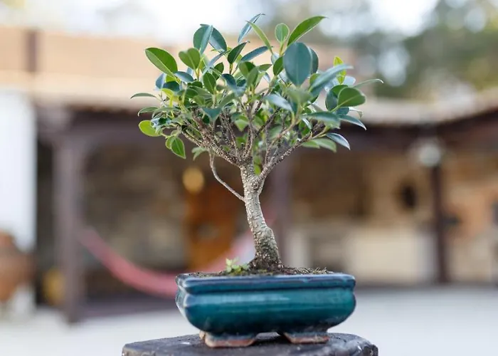 Quinta Dos Canteiros Villa Fatima